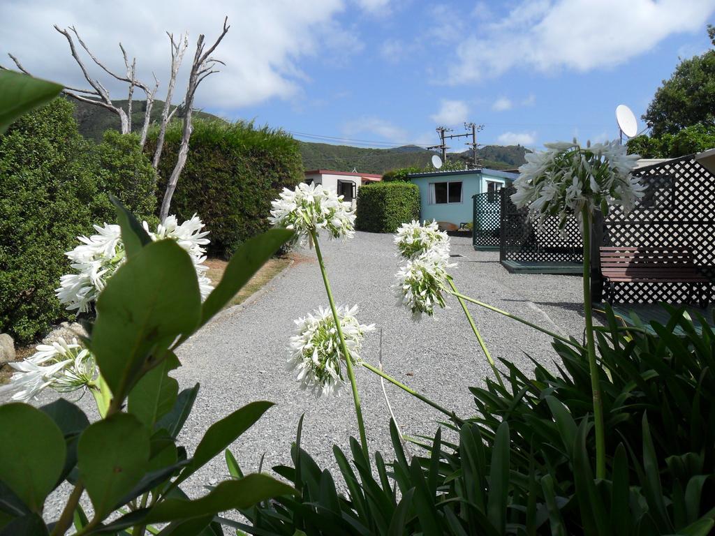 Picton'S Waikawa Bay Holiday Park Εξωτερικό φωτογραφία